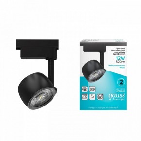Светильник на штанге Gauss Track Light TR053 в Агрызе - agryz.ok-mebel.com | фото 3