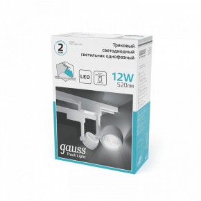 Светильник на штанге Gauss Track Light TR054 в Агрызе - agryz.ok-mebel.com | фото 5