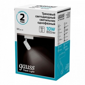 Светильник на штанге Gauss Track Light TR059 в Агрызе - agryz.ok-mebel.com | фото 4