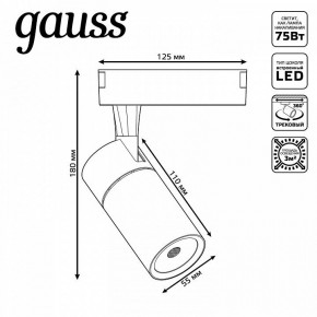 Светильник на штанге Gauss Track Light TR059 в Агрызе - agryz.ok-mebel.com | фото 6
