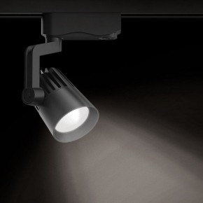 Светильник на штанге Gauss Track Light TR061 в Агрызе - agryz.ok-mebel.com | фото 2