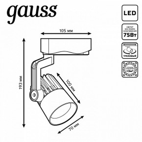Светильник на штанге Gauss Track Light TR061 в Агрызе - agryz.ok-mebel.com | фото 6