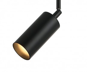 Светильник на штанге Kink Light Рия 07621-1,19 в Агрызе - agryz.ok-mebel.com | фото 2