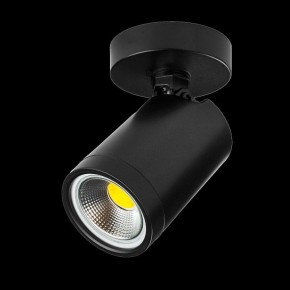Светильник на штанге Lightstar Rullo 213407 в Агрызе - agryz.ok-mebel.com | фото 2