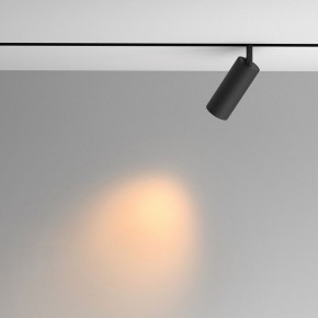 Светильник на штанге Maytoni Artisan TR097-2-12W2.7K-M-BB в Агрызе - agryz.ok-mebel.com | фото 4