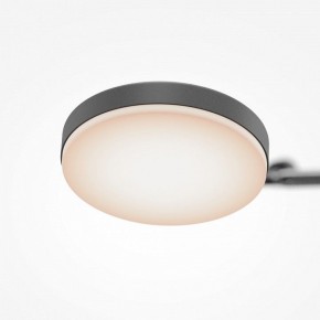 Светильник на штанге Maytoni Fad MOD070CL-L15B3K1 в Агрызе - agryz.ok-mebel.com | фото 7