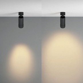 Светильник на штанге Maytoni Focus Zoom C055CL-L12W2.7K-Z-B в Агрызе - agryz.ok-mebel.com | фото 3