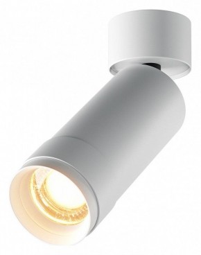 Светильник на штанге Maytoni Focus Zoom C055CL-L12W2.7K-Z-W в Агрызе - agryz.ok-mebel.com | фото