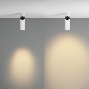 Светильник на штанге Maytoni Focus Zoom C055CL-L12W2.7K-Z-W в Агрызе - agryz.ok-mebel.com | фото 3