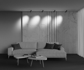 Светильник на штанге Maytoni Focus Zoom TR212-4-12WTW-Z-DSZ-B в Агрызе - agryz.ok-mebel.com | фото 6