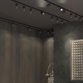 Светильник на штанге Novotech Elina 370777 в Агрызе - agryz.ok-mebel.com | фото 4