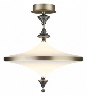 Светильник на штанге Odeon Light Ula 5404/43CL в Агрызе - agryz.ok-mebel.com | фото 2