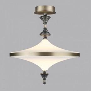 Светильник на штанге Odeon Light Ula 5404/43CL в Агрызе - agryz.ok-mebel.com | фото 3
