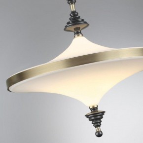Светильник на штанге Odeon Light Ula 5404/43CL в Агрызе - agryz.ok-mebel.com | фото 6