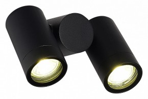 Светильник на штанге ST-Luce Ecollo SL9011.402.02 в Агрызе - agryz.ok-mebel.com | фото 3
