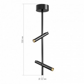 Светильник на штанге ST-Luce LILT SL6210.403.02 в Агрызе - agryz.ok-mebel.com | фото 3