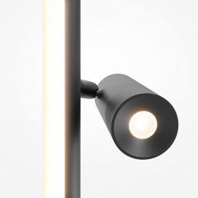 Торшер Maytoni Thin MOD395FL-L28B3K в Агрызе - agryz.ok-mebel.com | фото 6