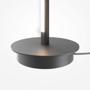 Торшер Maytoni Thin MOD395FL-L28B3K в Агрызе - agryz.ok-mebel.com | фото 8