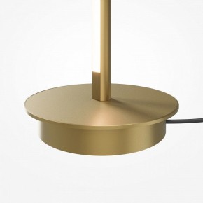 Торшер Maytoni Thin MOD395FL-L28BS3K в Агрызе - agryz.ok-mebel.com | фото 7