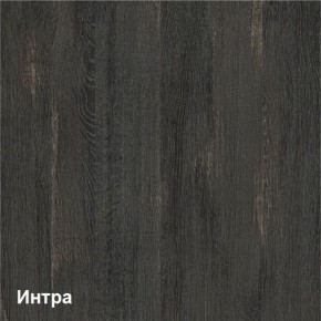 Трувор Шкаф-стеллаж 13.206 в Агрызе - agryz.ok-mebel.com | фото 4