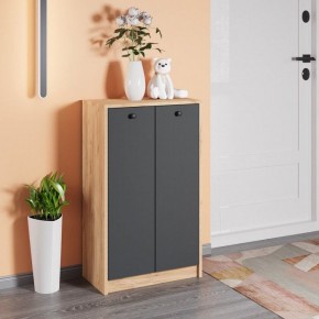 Тумба для обуви Рино в Агрызе - agryz.ok-mebel.com | фото 3