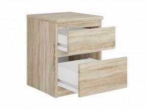 Тумба КАСТОР малая с двумя ящиками, цвет Дуб Сонома в Агрызе - agryz.ok-mebel.com | фото 2