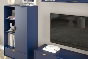 Тумба комбинированная Челси 469.02 в Агрызе - agryz.ok-mebel.com | фото 3