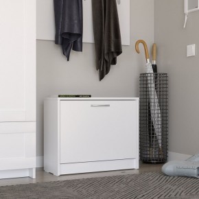 Тумба ОРИОН с одной полкой для обуви, цвет белый в Агрызе - agryz.ok-mebel.com | фото 4