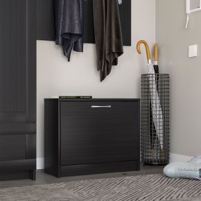 Тумба ОРИОН с одной полкой для обуви, цвет Дуб Венге в Агрызе - agryz.ok-mebel.com | фото 4