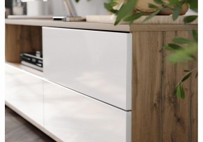 Тумба под ТВ Маллоу в Агрызе - agryz.ok-mebel.com | фото 4