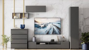 Тумба под ТВ Сибити в Агрызе - agryz.ok-mebel.com | фото 3