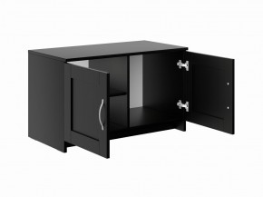 Тумба СИРИУС двухдверная низкая, цвет Дуб Венге в Агрызе - agryz.ok-mebel.com | фото 3