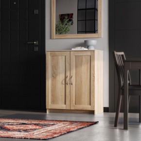 Тумба СИРИУС двухдверная, цвет Дуб Сонома в Агрызе - agryz.ok-mebel.com | фото 4