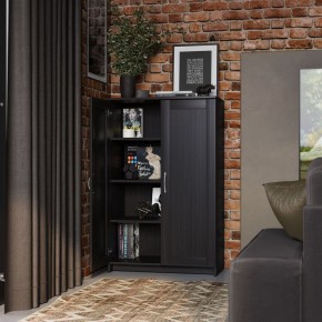 Тумба СИРИУС двухдверная высокая, цвет Дуб Венге в Агрызе - agryz.ok-mebel.com | фото 4