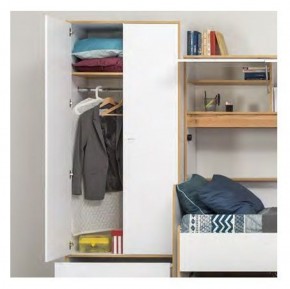Вуди Шкаф для одежды 13.138 в Агрызе - agryz.ok-mebel.com | фото 3